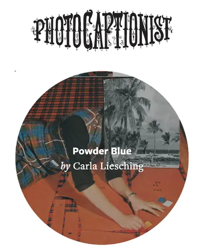 The Photocaptionist