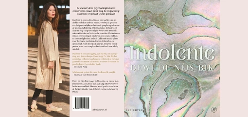 std.11.indolente_cover.webp