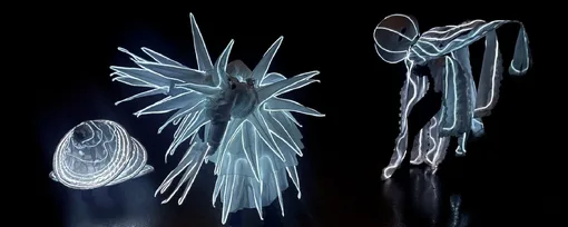 Silent Transformation performance 2023, 