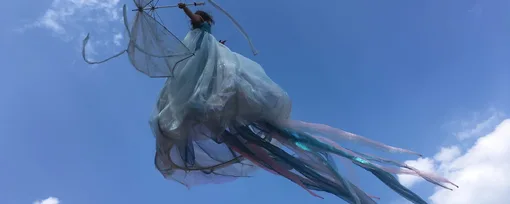 Jellyfish Tree performance